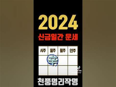 辛金2024